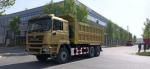 SHACMAN F3000 Dump Truck 6x4 380 EuroII Gold 30-50tons Diesel Engine 8x4 Tipper