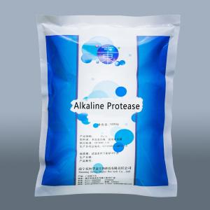 China Alkaline Protease Enzyme 50000u/G-1500000u/G Protease Powder factory