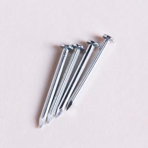 China Galvanized Steel Construction Nails Flat Head High Strength Customized factory