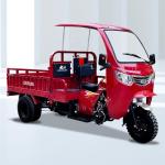 12V Voltage 3 Wheels Motorcycle Motorized Cargo Tricycle 10-20L