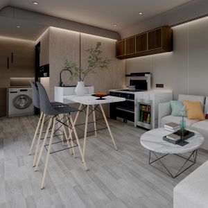 Galvanized Steel Frame 2 Bedroom Capulse House With Personalized Customized