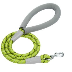 China Comfortable Nylon Dog Walking Leash Padded Dog Leash Lightweight Weather Proof factory