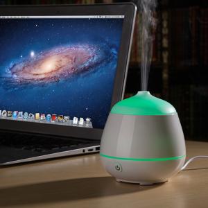China Quiet Mist Classic Ultrasonic Personal White 80ml USB Air Humidifier factory