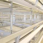 Automatic Chicken Farm Equipment , 380V U Shape Steel Hi Tech Chicken Cage