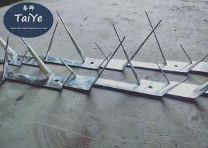 China Medium Sized Wall Security Spikes Steel Plate Full Color Easy To Install factory