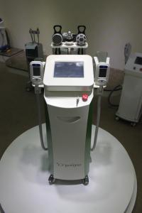 China 5 handles Fat Reduction Cryotherapy Body/Cryolipolysis Slimming Machine factory