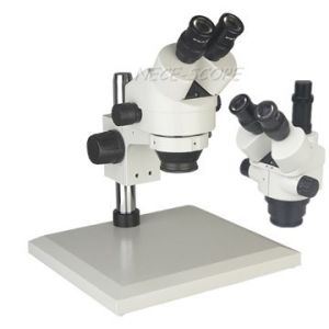 Interpupillary Distance Trinocular Compound Microscope Binocular Inclined At 45°