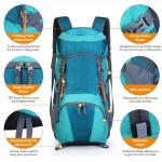 35l Lightweight Travel Backpack Waterproof With Rain Cover Camping Adults