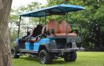 2 4 6 Seat Lifted Electric Golf Cart with DOT EEC Certification and Long-lasting