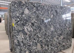 China Mosaic Black Granite Slab For Work Top , High Hardness Granite Stone Slabs factory