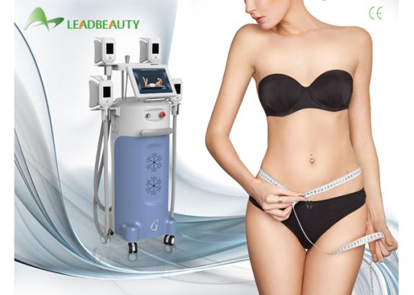 Professional Cryolipolysis Slimming Fat Loss Machines For Women Cellulite