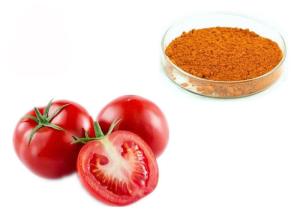 China 6% 10% 20% Lycopene 502-65-8 Dehydrated Tomato Fruit Extract factory