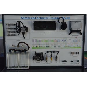 50Hz Gasoline Engine Automotive Education Equipment Engine Control System