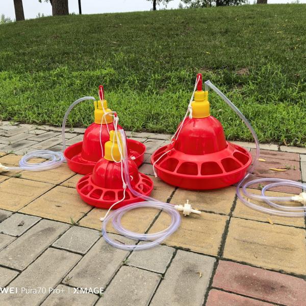 Farm Poultry Feeding Chicken Water Dispenser Fully Automatic Sturdy Durable