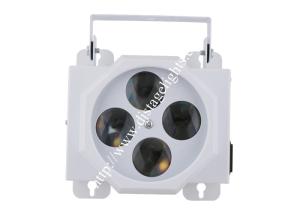 China Cheap Mini 4 Eyes 4 Patterns Disco Stage Lights 30W RGBW LED Effect Light factory