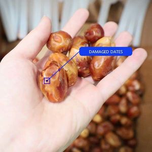 Efficient 6-Lane Palm Dates Sorting Machine Defect Sorting 1.4 Tons per Hour