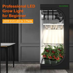 China BAVAGREEN 240W Samsung LM301H EVO Mint White LED Pflanzenlampe IR UV Full Spectrum Led Grow Light For 80x80x180 Growbox factory