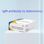Highly Sensitive Adenovirus IgM Rapid Test Colloidal Gold Rapid Test For Medical