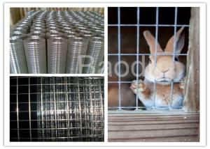 China Electro Welded Galvanized Steel Hardware Cloth For Rabbit Animal Fence factory