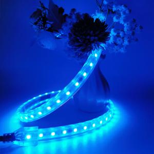 China 83.3mm Cutting SMD2835 Outdoor Led Strip Light 12W/M PVC factory