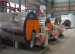 China Factory 0.5t to 20 Ton Central Heating Natural Gas Diesel Light Oil