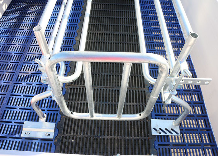 PVC Board Gestating Pig Farrowing Pen 2.5mm Thickness With BMC Slat
