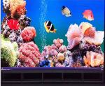 High Brightness Outdoor Advertising Led Display Screen Rental 6mm Pixel Pitch