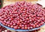 Rich Protein Natural Agricultural Products New Crop Common Small Red Beans