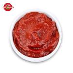 70g Sachet Tomato Paste Stand Up Sweet And Sour Double Concentrated