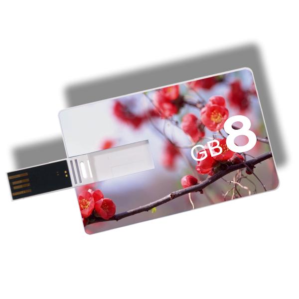 Kongst OEM custom logo credit card usb , promotional gifts usb card , usb