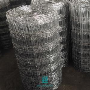 China High Zinc Coating Hinge Joint Fixed Knot Fence Horizontal Wire Tensile Strength 1300N factory