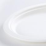 Biodegradable Sugarcane Pulp Party Dinnerware Plate Sugarcane Bagasse Paper