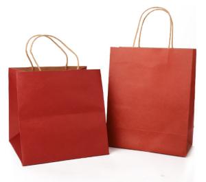 China Biodegradable CMYK Color Foldable Paper Bag factory