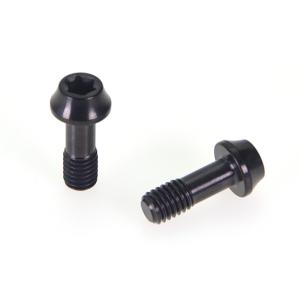 China Black PVD Decorative Screws Non Standard Head Stainless Steel Screws Treated Torx Slot factory
