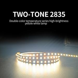 China 120 Light Flexible SMD 2835 LED Strip Bathroom Mirror Light With Low Pressure 12/24V factory