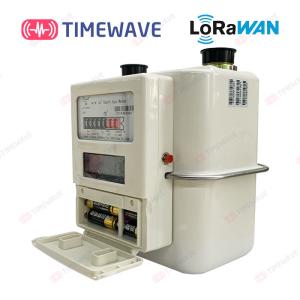 China LoRaWAN Based Gas Metering System LoraWan Energy Management Meter factory