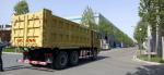 SHACMAN F3000 Dump Truck 6x4 380 EuroII Gold 30-50tons Diesel Engine 8x4 Tipper
