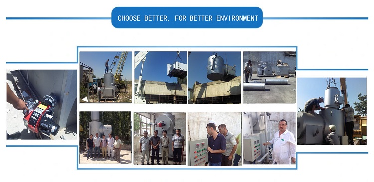 Pet Hospital Safe Smoke Free Cremation Furnace Safe Animal Incinerator and Eco Friendly