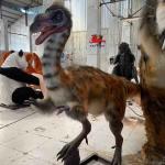 Lifelike Realistic Animatronic Dinosaur Amusement Park Limusaurus Model