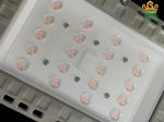140lm/w Power LED Safety Lighting Fixture For Gas Oil Petrochemical Plants And