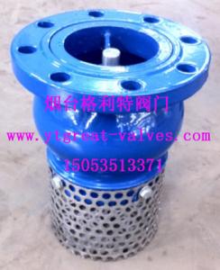China Flange Standard ANSI/BS/DIN/JIS Foot Valve with Maximum Temperature 200°F factory