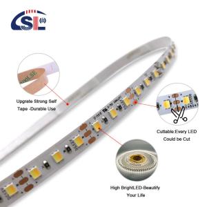 China 2835 CCT LED Strip 120Leds/m Dual White Color Temperature Adjustable Flexible Tape factory