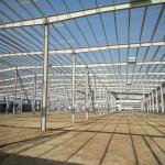 Prefabricated Large Span Steel Structures Prefab Metal Warehouse Buildings