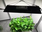 576pcs Chips 240Watt Full Spectrum LED Grow Lights