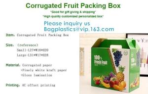 China Corrugated Fruit Packing Box, Gloss Lamination, Offset Printing, Foldable Box, Flower Cone, Flowral Packaging factory