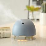Essential Oil 20ml/H 12W 30m3 Wood Aromatherapy Diffuser