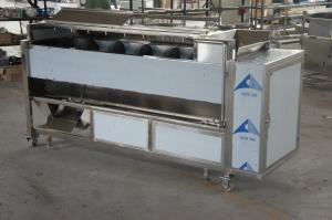 China 1.5T hour brush roller Washing And Peeling Machine Equipment 1.5 KW factory