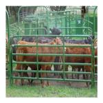Galvanized Grassland Wire Mesh Fence for Cattle/Sheep/Field/Deer Farm 7ft x