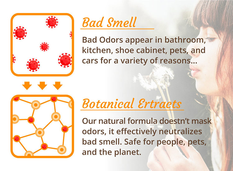 Eco Friendly Bottle Air Freshener Luxury Home Luxury Sleep Scent Room Mini Perfume Bottles