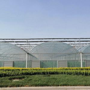 China 10000m2 Big Span Agriculture Multi Span Greenhouse Plastic Film Green House For Hydroponic Growing factory